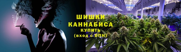 apvp Белокуриха