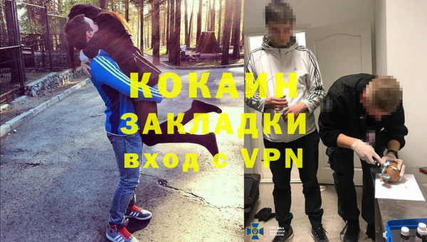 apvp Белокуриха